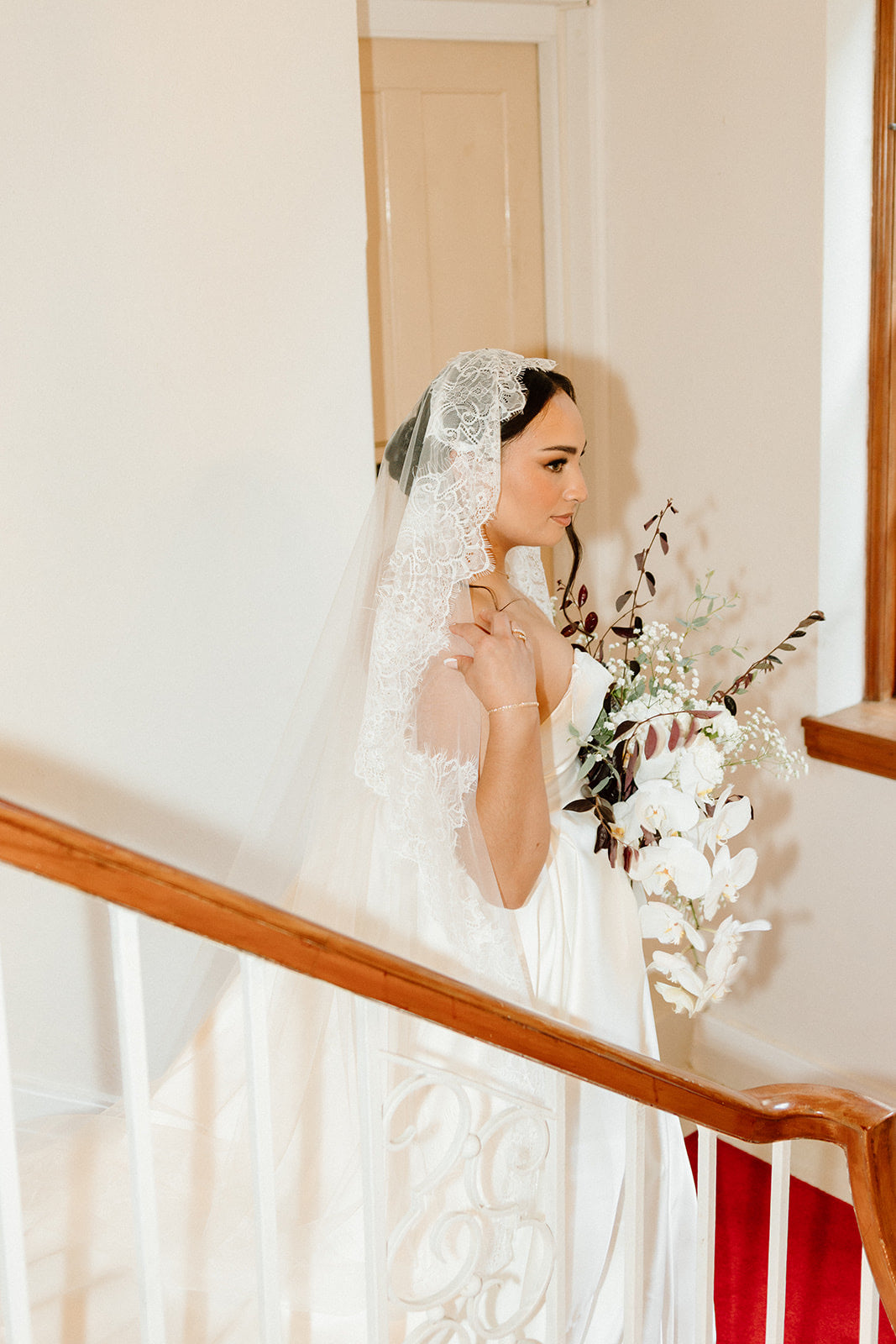 3m Cathedral Mantilla Lace Veil