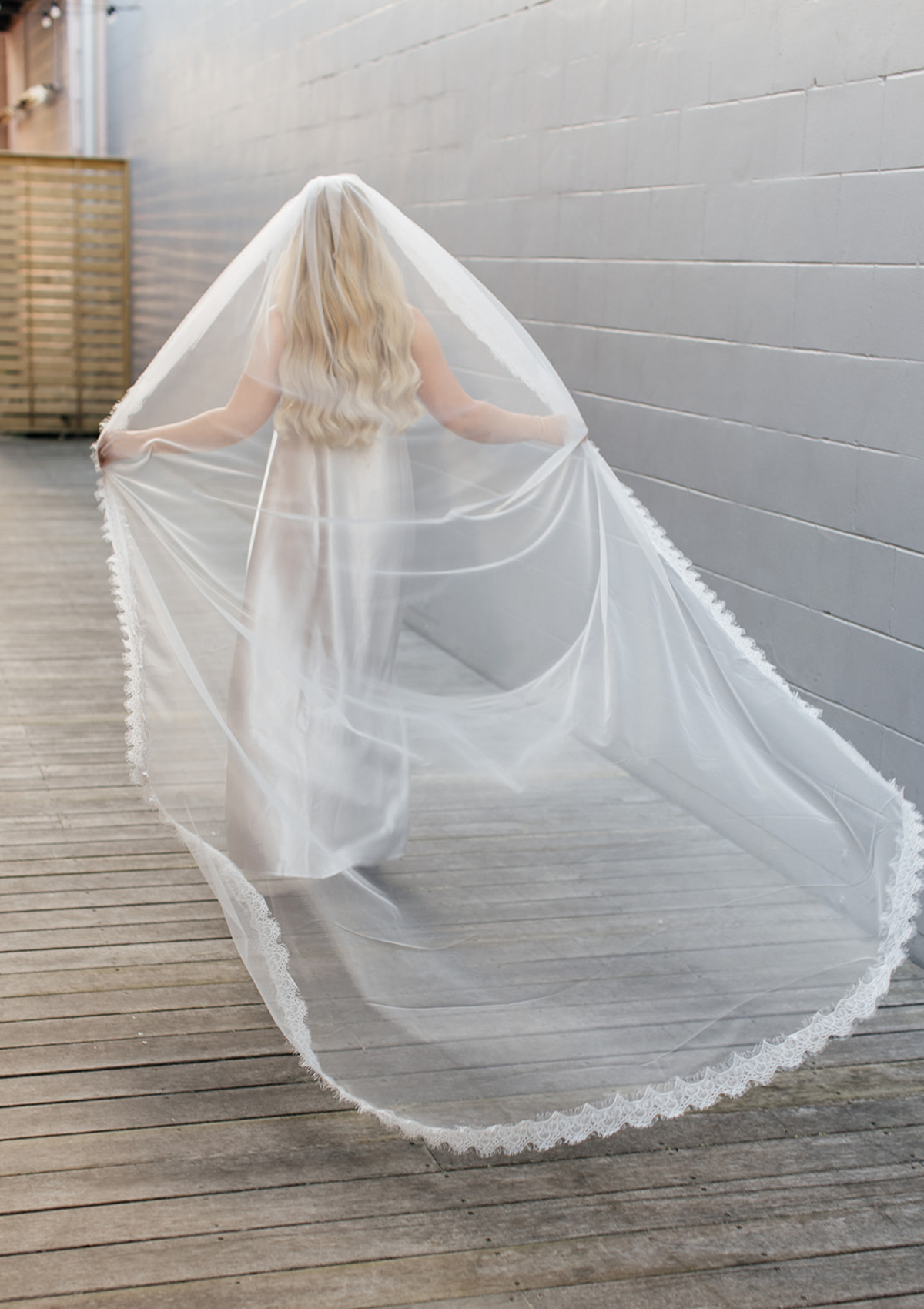 LAUNCHING SOON! Fine Lace Edge Veil (3 Sizes)