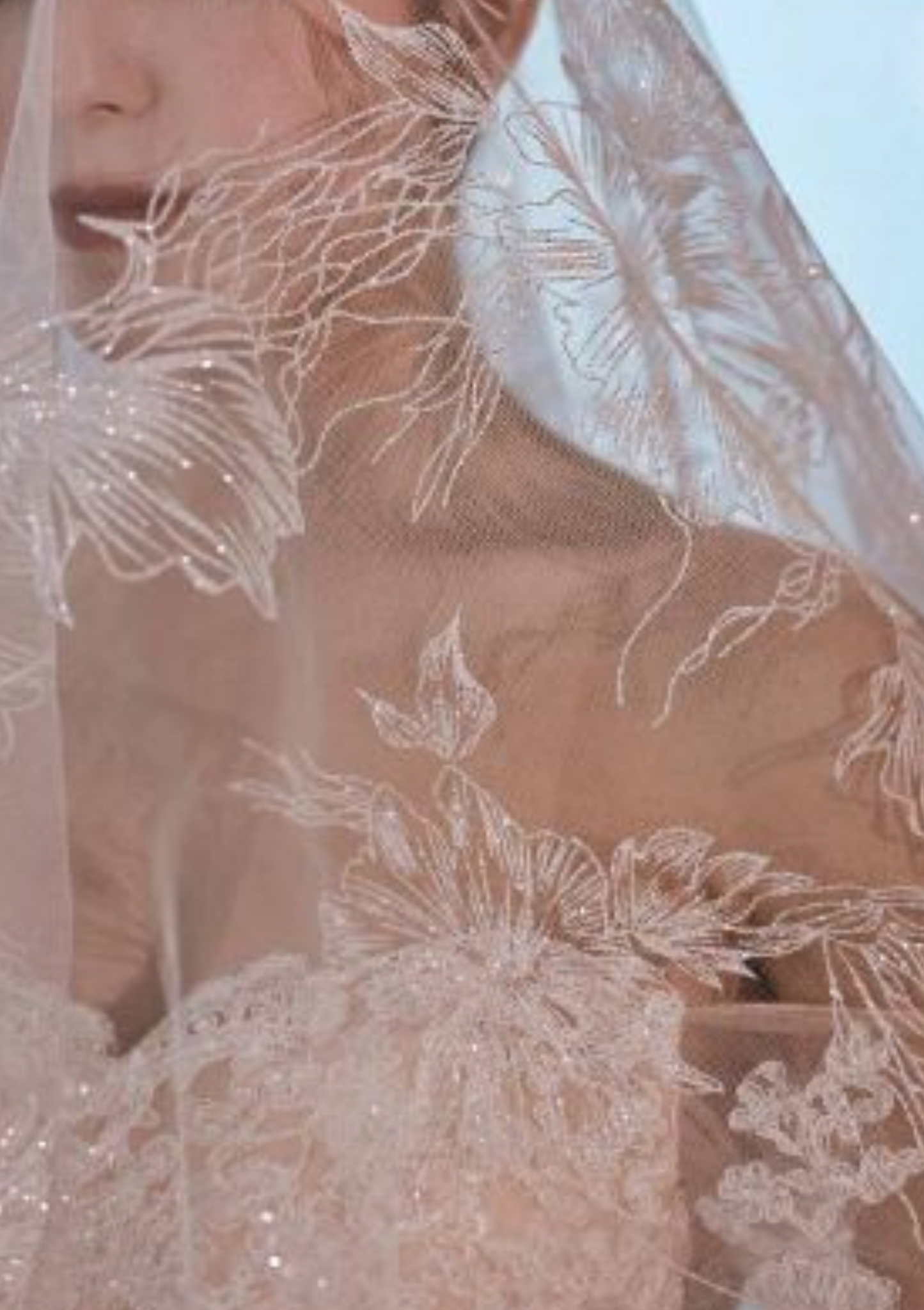 Ornate Lace Bridal Veil 3m