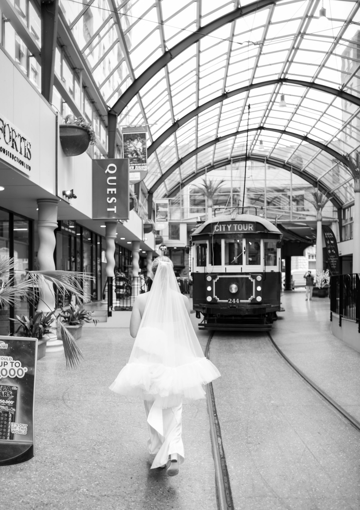 Ruffle Trim Veil