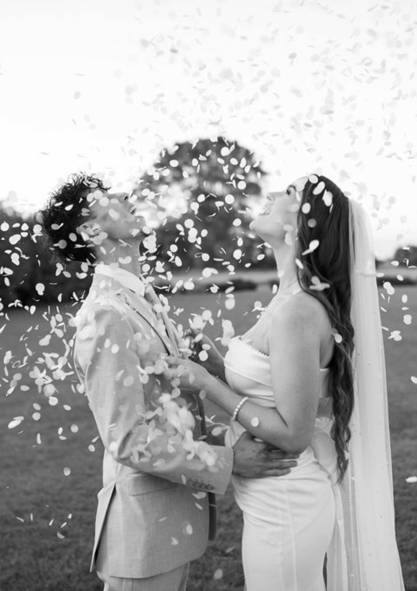 Eco Confetti