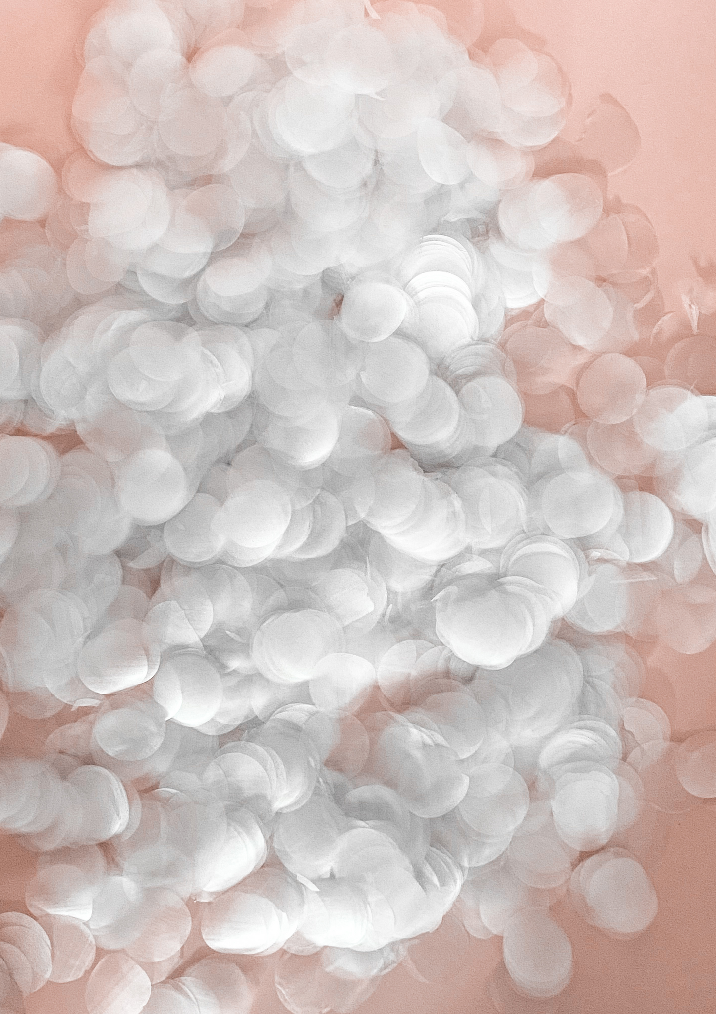 White biodegradable eco confetti NZ wedding