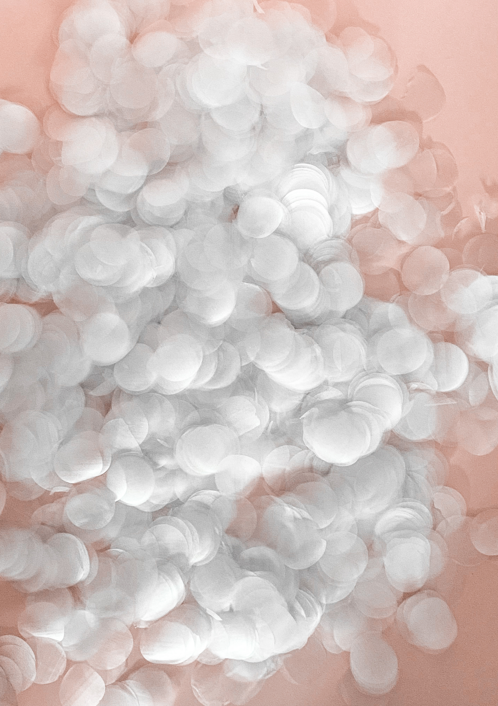 White biodegradable eco confetti NZ wedding